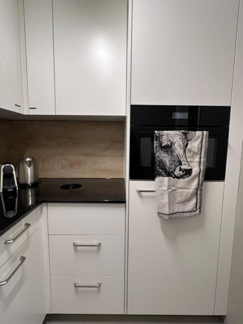 New Renovated Apartment In Center Of Ostrava Dış mekan fotoğraf